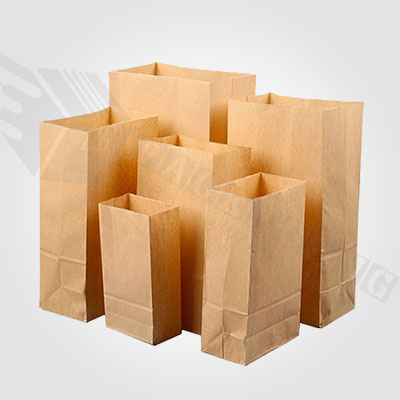 Custom Kraft Grocery Bakery Bags